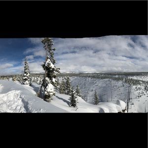 Meet your Posher, Rosa lee